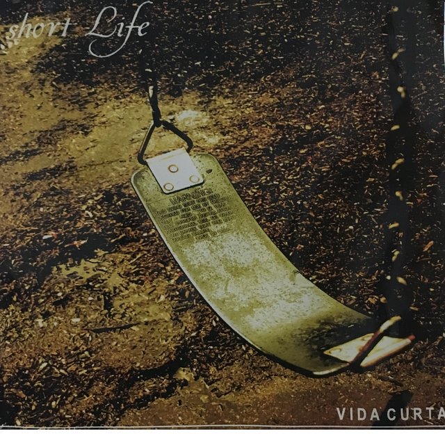 Vida Curta