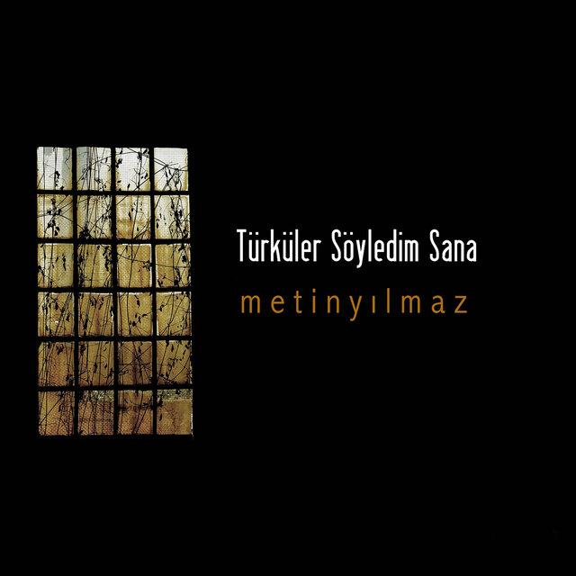 Türküler Söyledim Sana
