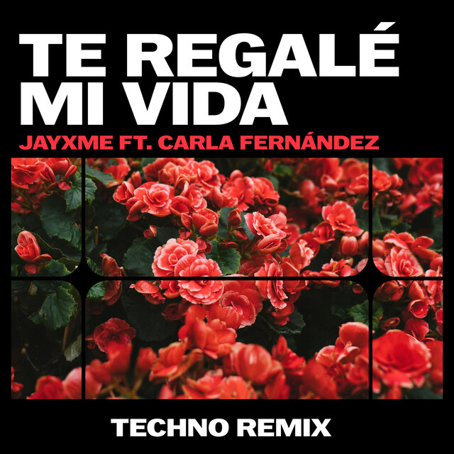 Te Regalé Mi Vida (Techno Remix)