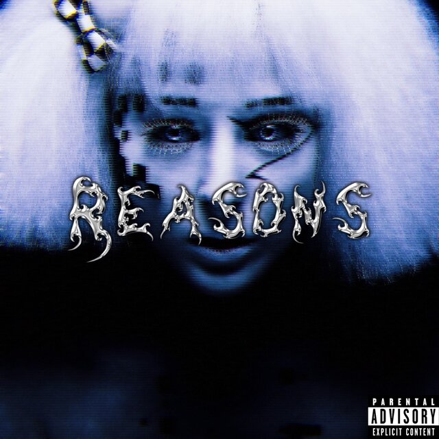 Reasons