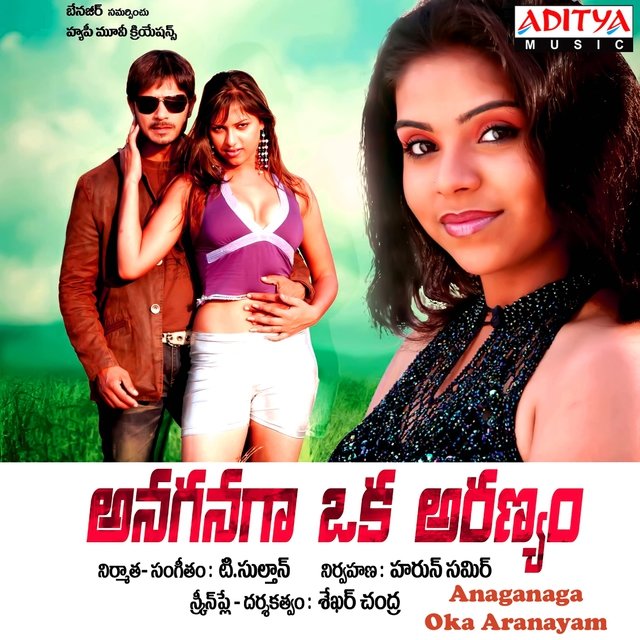 Anaganaga Oka Aranayam (Original Motion Picture Soundtrack)