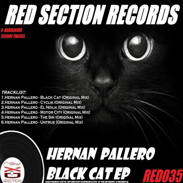 Black Cat