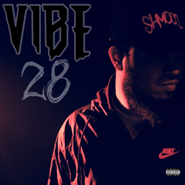 Vibe 28