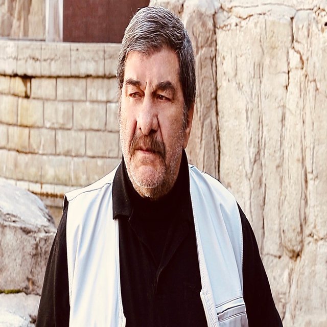 Koca Çınar