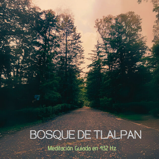Bosque de Tlalpan
