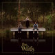 Cover art for album Ironbark by The Waifs