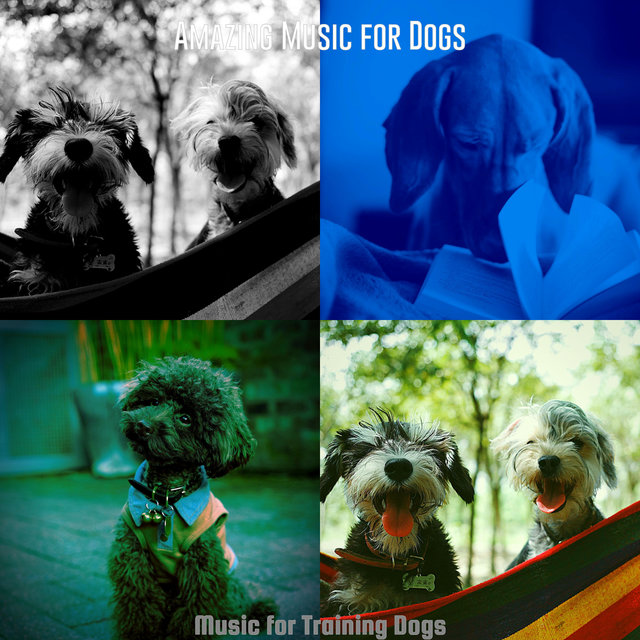 Music for Training Dogs