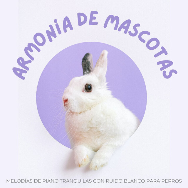 Armonía De Mascotas: Melodías De Piano Tranquilas Con Ruido Blanco Para Perros