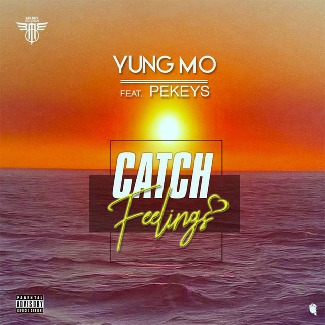 Catch Feelings
