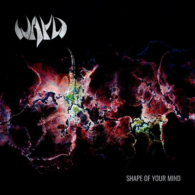 Shape of Your Mind