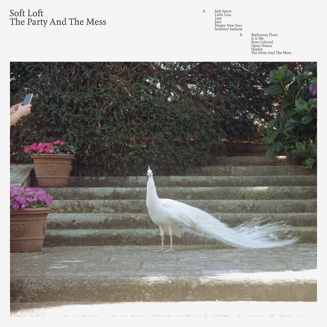 Cover art for album The Party And The Mess by Soft Loft