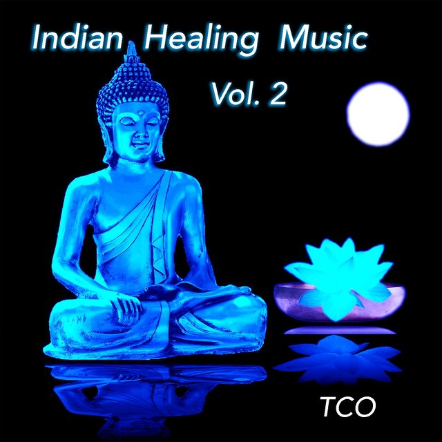 Indian Healing Music Vol. 2 (Indian Music for Yoga, Meditation and Chill out, Performed on Indian Flutes, Tabla, Sitar, Drums and Chants)