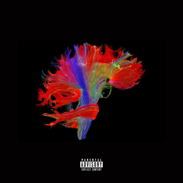 Mind over Matter