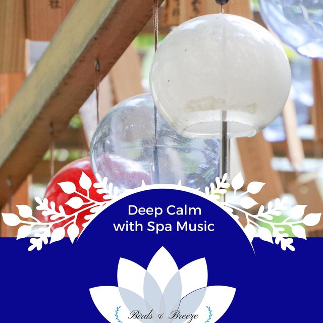 Deep Calm With Spa Music