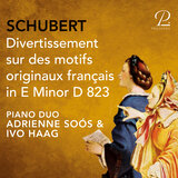 Divertissement sur des motifs originaux français in E Minor, D 823: II. Andantino