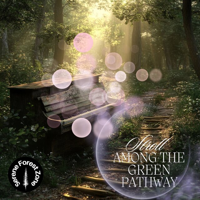 Stroll Among the Green Pathway: Forest Visualization