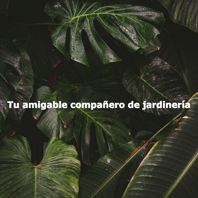 Tu amigable compañero de jardinería