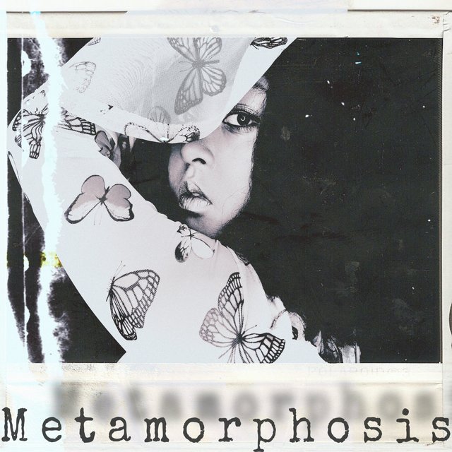 Metamorphosis