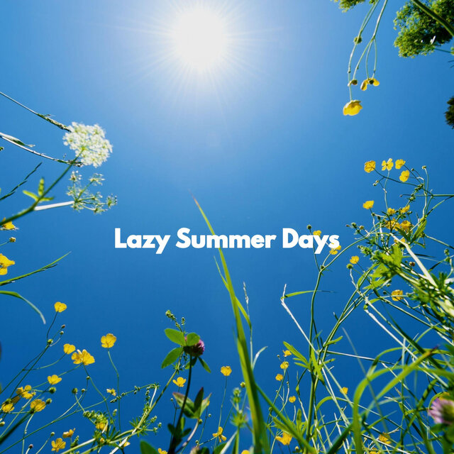 Lazy Summer Days