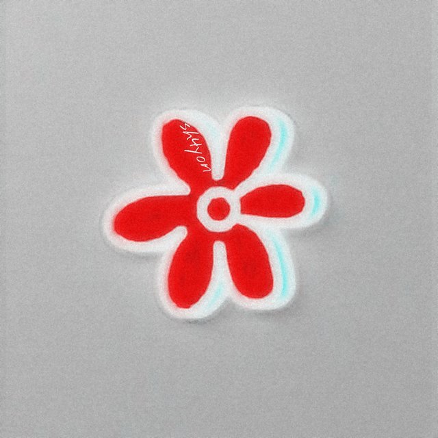 Daffodils