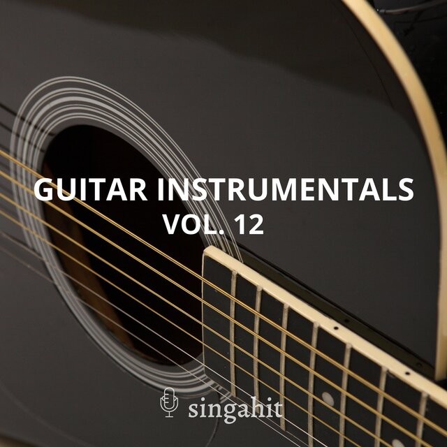 Guitar Acoustic Instrumentals, Vol. 12