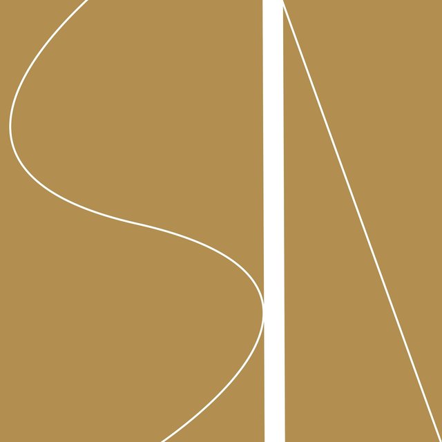 Nerve Plexus