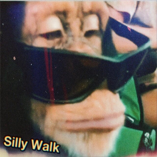 Oh what a Silly Walk!
