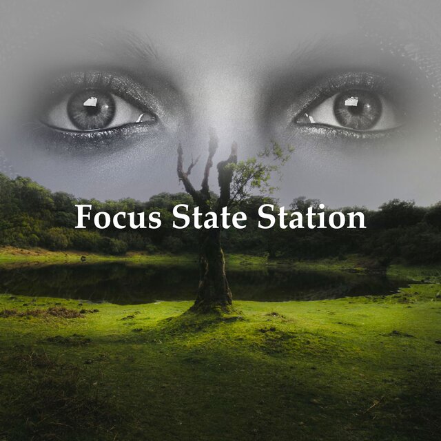 Focus State Station