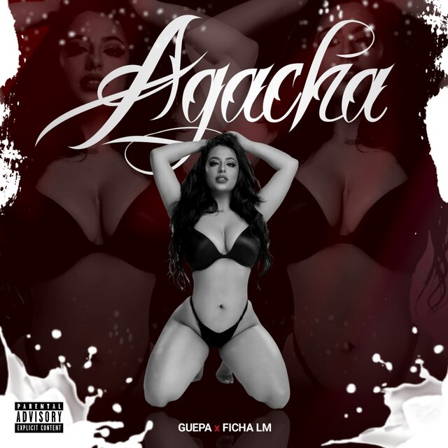 Agacha