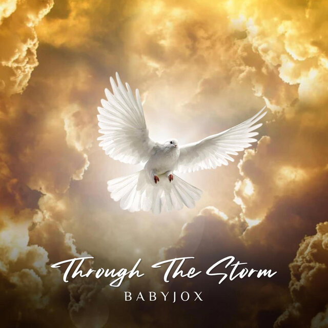Through The Storm
