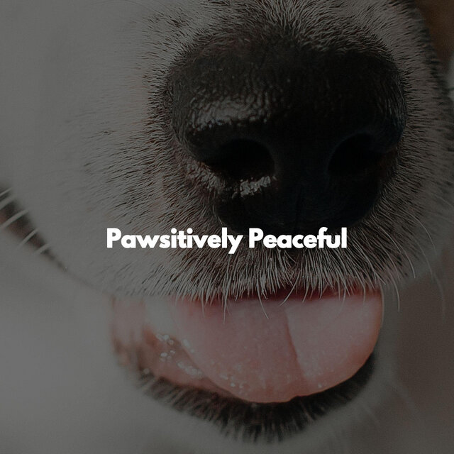 Pawsitively Peaceful