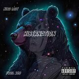 Hibernation