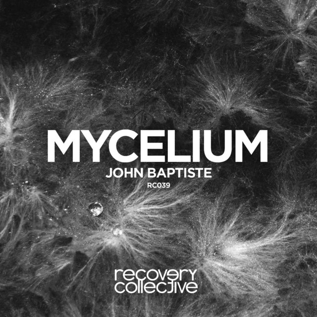 Mycelium