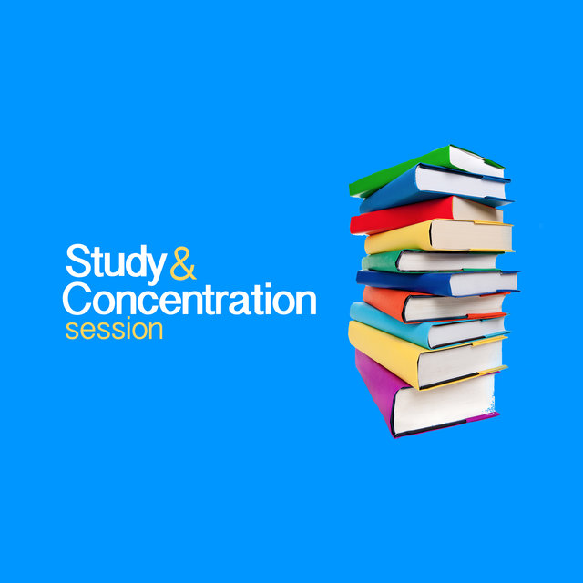 Study & Concentration Session