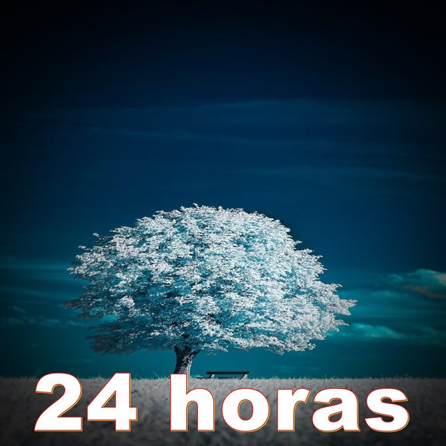 24 horas