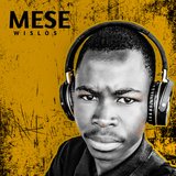 M. E. S. E.