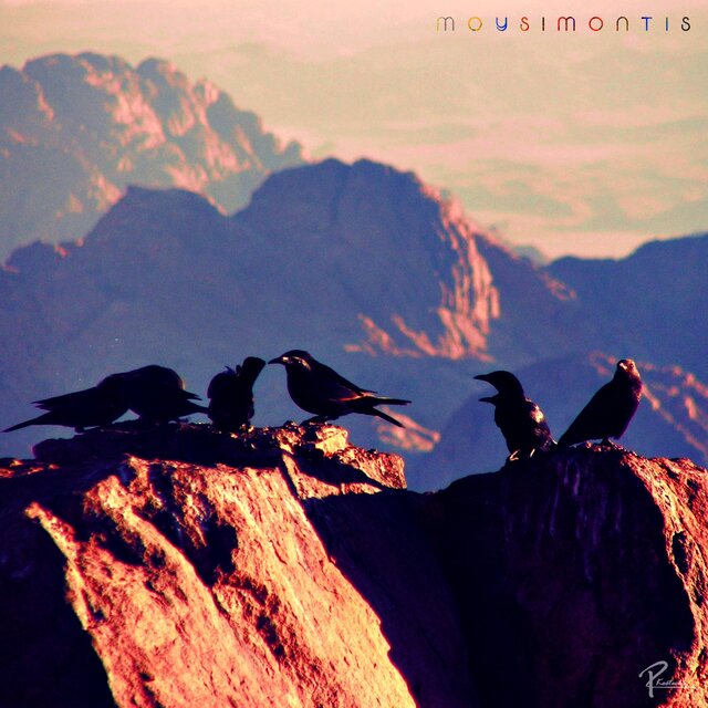 MOYSIMONTIS