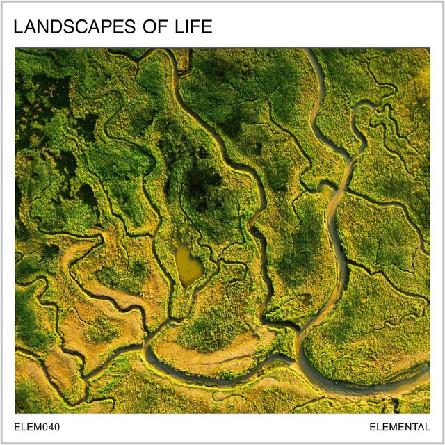 Landscapes of Life: Emotive Scene Setters