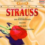 Don Quixote, Op. 35, TrV 184: Introduction