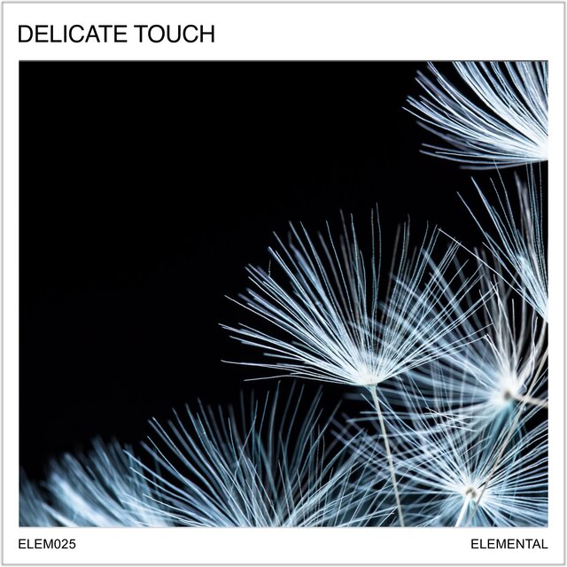 Delicate Touch: Thoughtful Piano Pieces
