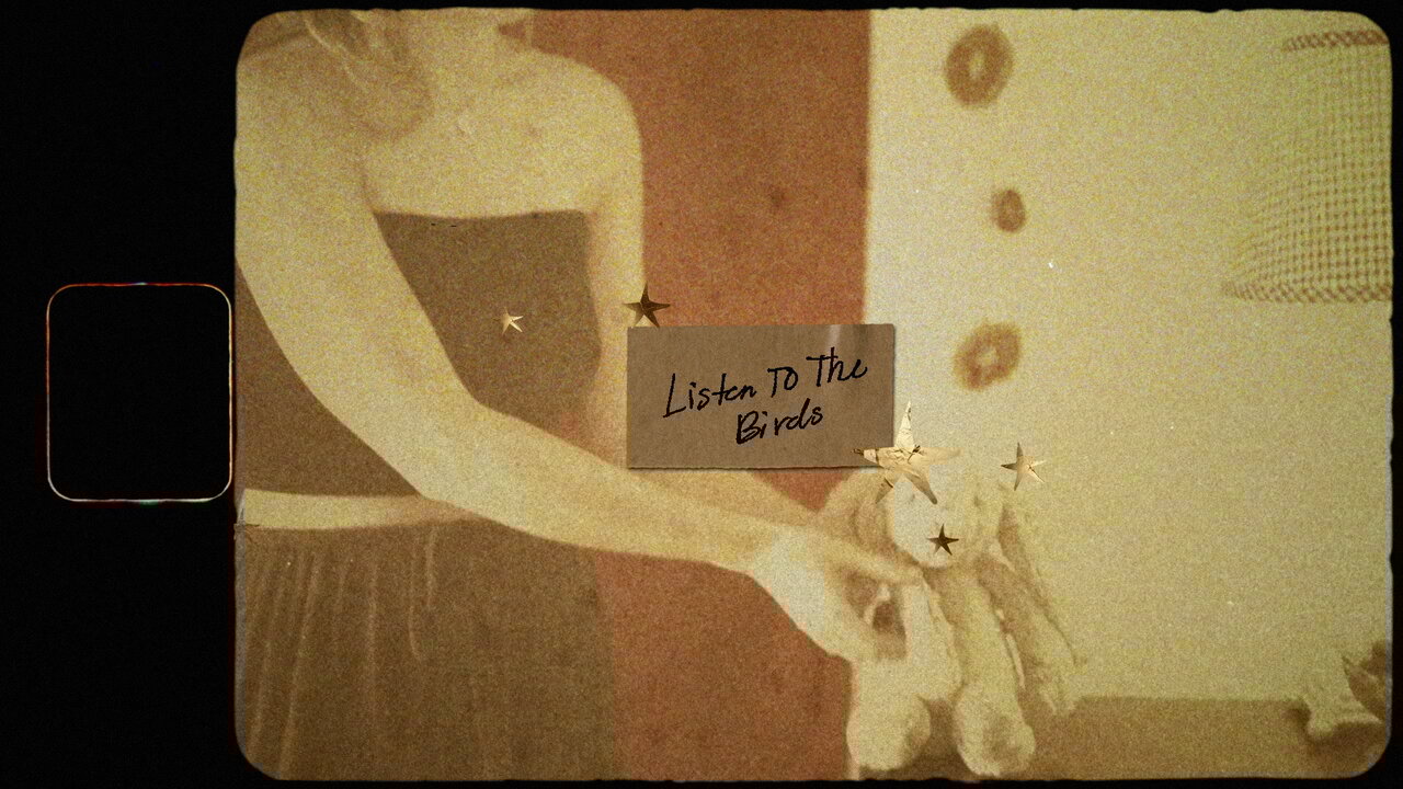 Listen To The Birds