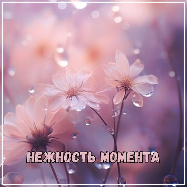 Нежность момента