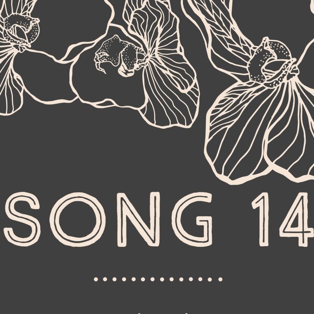 Song 14