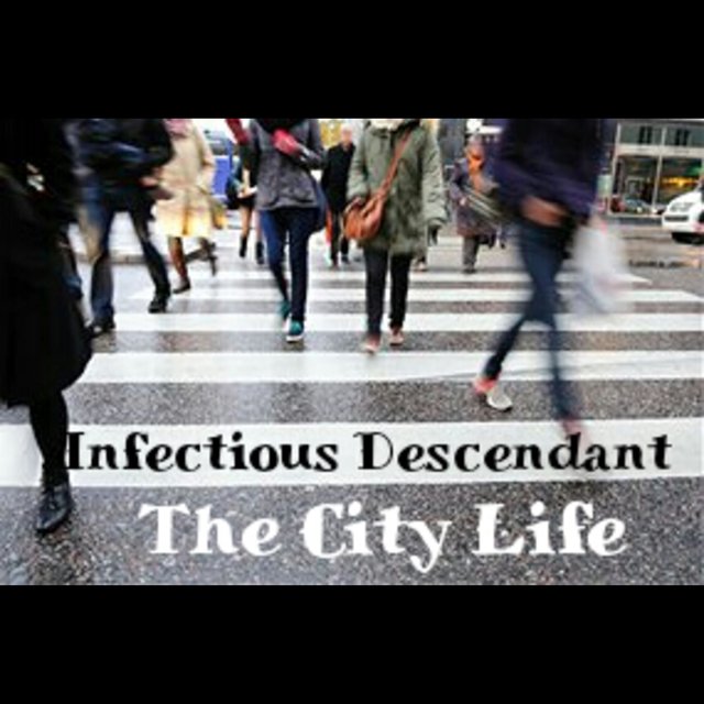 The City Life