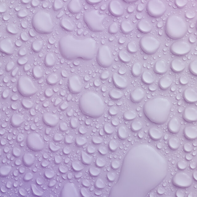 Wet Ambient