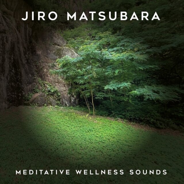 Meditative Wellness Sounds