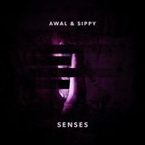Senses