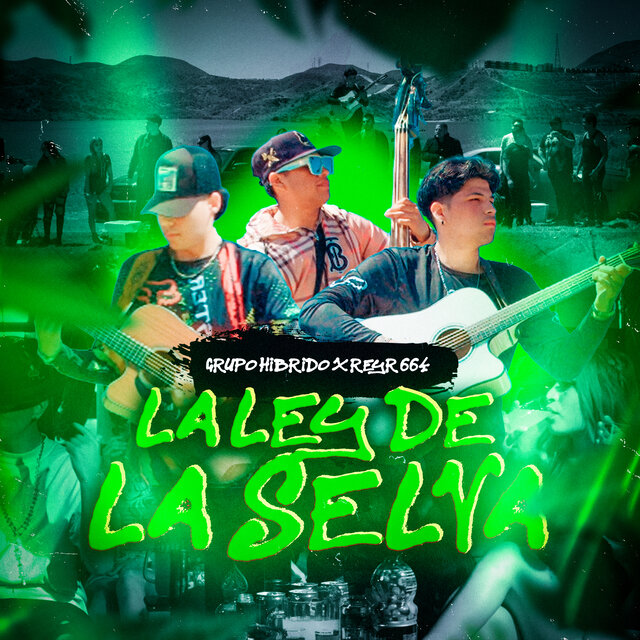 La ley de la selva