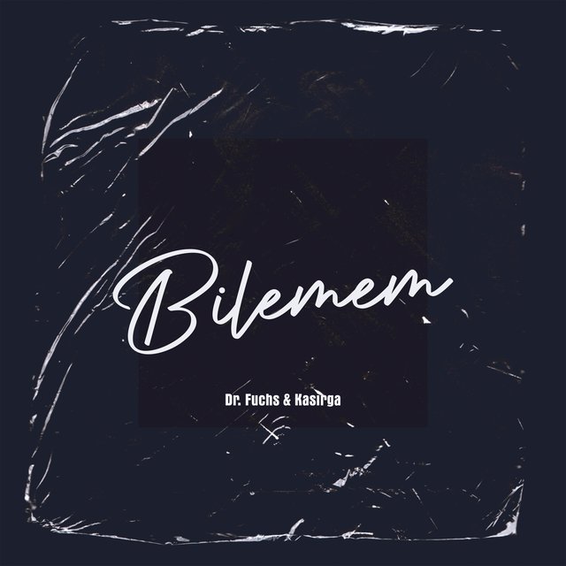Bilemem (feat. Kasirga) [Remix]