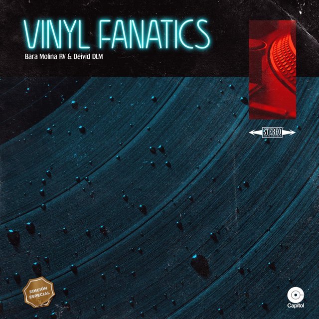 Vinyl Fanatics